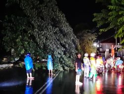 Waspada! Empat Wilayah di Maluku Berpotensi Cuaca Ekstrem
