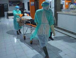 Update Covid-19 Maluku: Jumlah Kasus 9.823, Pasien Sembuh 7.522, Meninggal 125