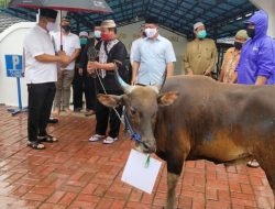 Polda Maluku Salurkan 20 Ekor Hewan Kurban ke Masjid