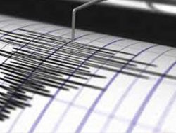 Gempa Magnitudo 5,0 Guncang Maluku Barat Daya, Tak Berpotensi Tsunami