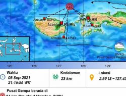 Gempa 5,0 Magnitudo Guncang Pulau Buru, Getaran Dirasakan di Piru