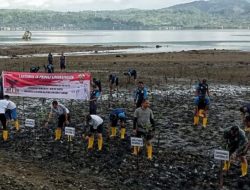 Peduli Lingkungan, Lantamal Ambon Tanam 200 Bibit Mangrove di Pantai Halong