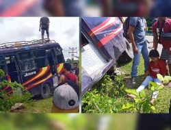 Bus Ambon-Taniwel Oleng Masuk Selokan, Penumpang Histeris