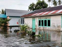 Ratusan Rumah Warga di Aru Terendam Banjir Rob