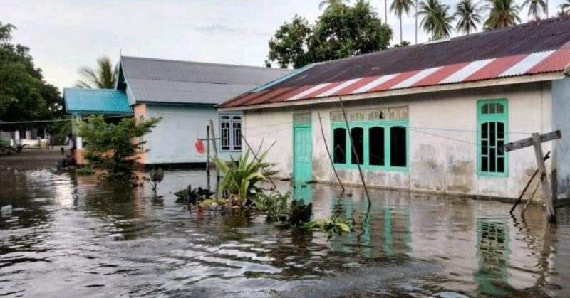 RATUSAN RUMAH