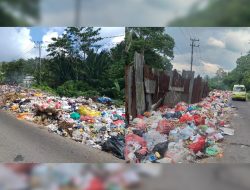 Hampir Sebulan Tak Diangkut, Sampah TPS Arbes Menggunung, Warga Hingga Anggota DPRD Mengeluh