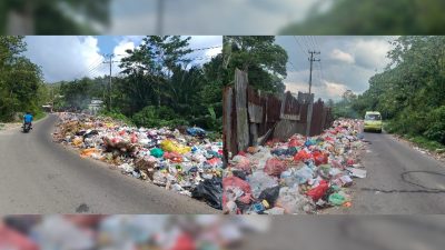 Hampir Sebulan Tak Diangkut, Sampah TPS Arbes Menggunung, Warga Hingga Anggota DPRD Mengeluh