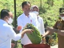 Gubernur Serahkan Tanah & Air dari Maluku untuk IKN Nusantara