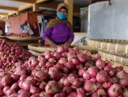 Harga Bawang Melonjak, DPRD Maluku Desak Disperindag Operasi Pasar