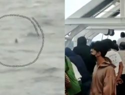 Penumpang KM Ngapulu Terjatuh di Laut Banda, Begini Nasibnya