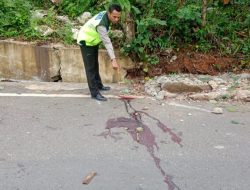 Ngebut, 2 Pemuda Tulehu Tewas Tabrak Tembok