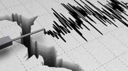 Tercatat 53 Gempa Guncang Maluku Selama Sepekan, 2 Dirasakan Warga