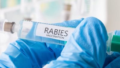 Pemkot Ambon Minta Tambah 600 Vaksin Rabies ke Pemprov Maluku