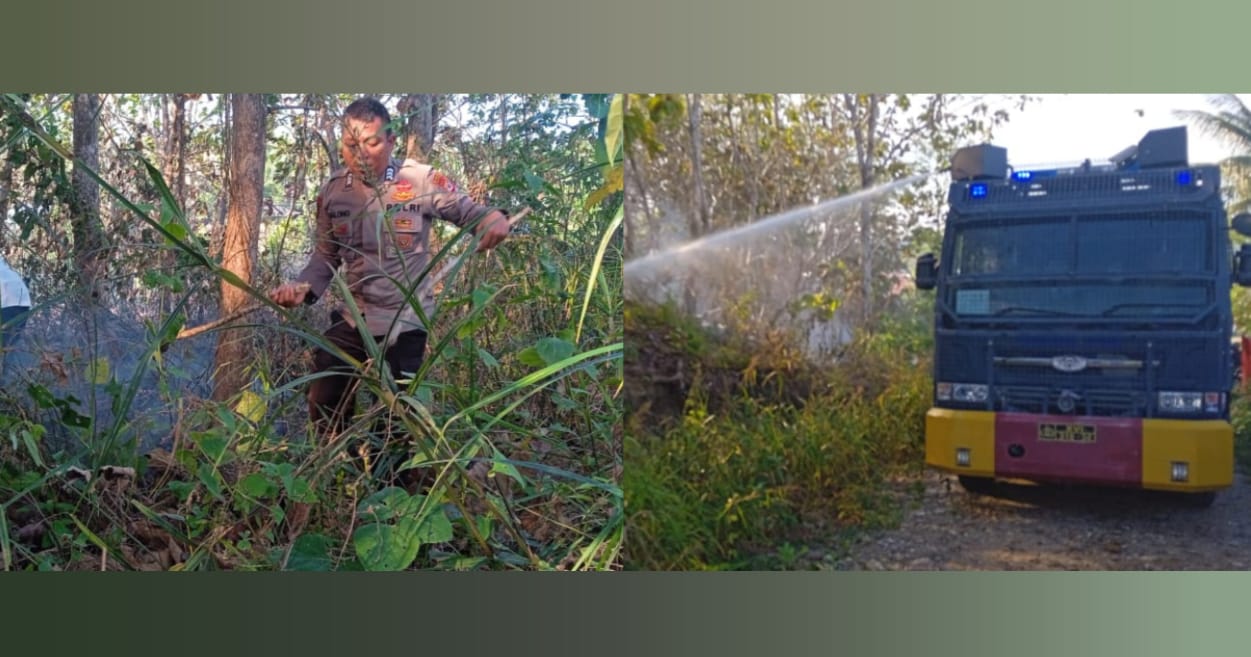 KEBAKARAN HUTAN