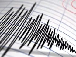 Gempa M 7,2 Guncang Saumlaki, Warga Panik Berhamburan ke Jalan