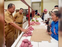 Pj Bupati Malteng Launching Gerai TPID & Pasar Dhuafa