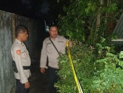 Kakek Dibekuk Polsek Saparua: Cabuli Anak di Semak-semak, Korban Diberi Uang Tutup Mulut