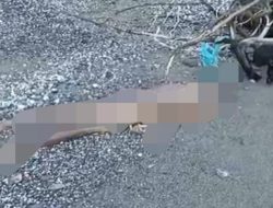 Geger Mayat Pria Tanpa Busana Ditemukan di Pantai Kuako Malteng