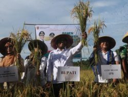 Pemkab Malteng Siap Wujudkan Swasembada Pangan