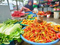 Musim Hujan Harga Cabai di Ambon Makin Pedas, Rp 140.000 per Kg