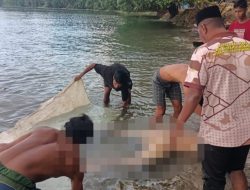 4 Hari Hilang, Warga Desa Luhu SBB Ditemukan Tewas Terapung di Laut