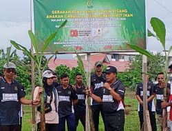 Dukung Ketahanan Pangan, Kejari SBT Gandeng TNI dan Wartawan Tanam Ratusan Anakan Pisang-Cabai