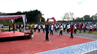HUT MBD