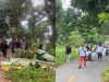 Bentrok 2 Desa di Pulau Haruku Pecah, Sejumlah Warga Terluka
