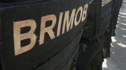 Biadab! Oknum Brimob Diduga Cabuli Anak di Bawah Umur, Begini Kata Polda Maluku