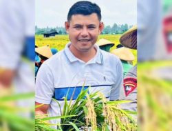 DPRD Apresiasi Pemda Malteng Berhasil Genjot Produksi Beras