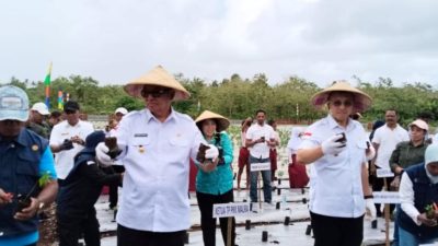 GNPIP 2025: Bupati Malra Tanam Cabai dan Bagikan Ribuan Bibit