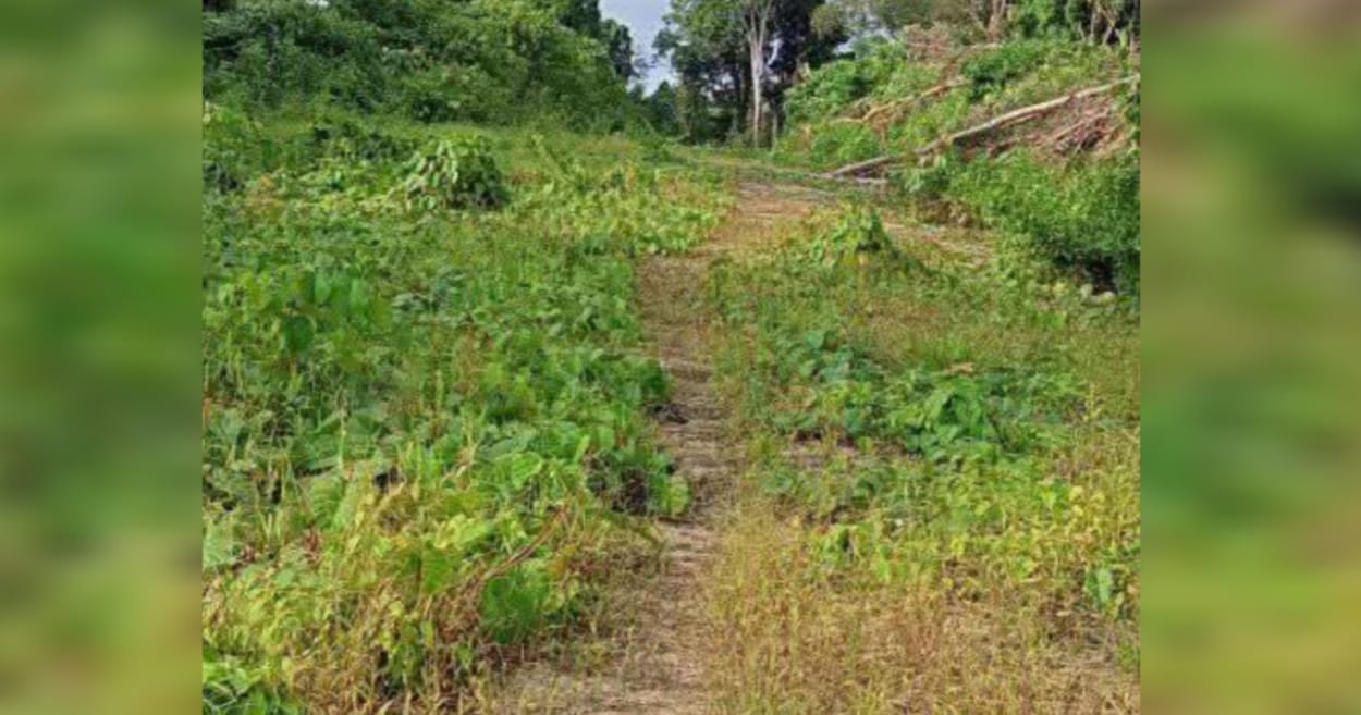 LINGKAR WOKAM