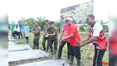 BUPATI MALTENG