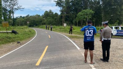 ADU BANTENG