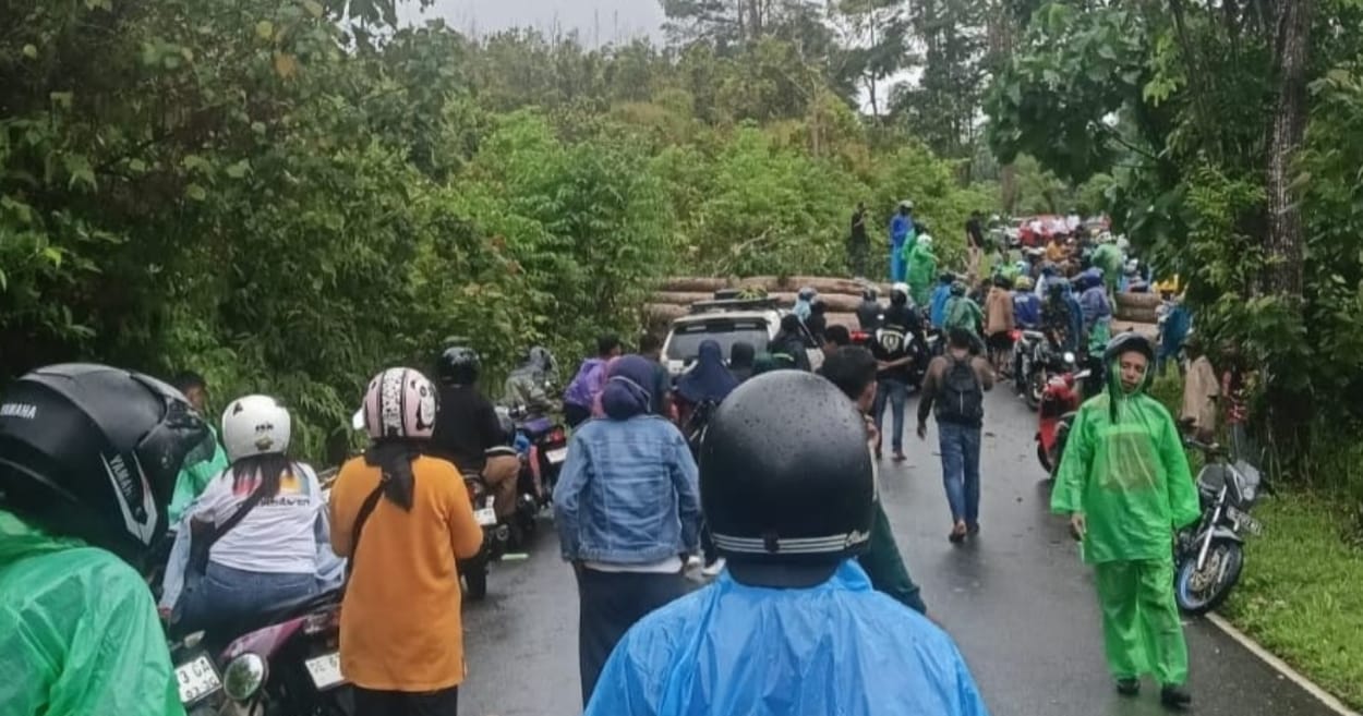 POHON TUMBANG