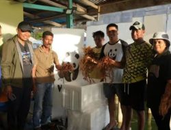 WWF Indonesia-Dinas Perikanan MBD Dorong Budi Daya Rumput Laut